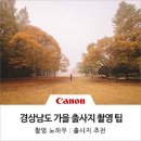 주식회사 솔숲 | RF16mm F2.8 STM 렌즈 실사용기! (feat. 시원한 시야가 마음까지 틔우는 가을 출사지 추천)