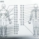 자연치유쑥뜸