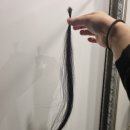 레아헤어샵 이미지