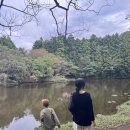 김녕집안목 이미지