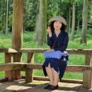 제주로뎀나무하우스 이미지