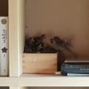 산막농장 이미지