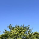 경북일보(주) | 2026년 5월 첫째주 기록 (일상,제면소의하루,어린이날 집콕,성심당 말차튀소,항정수육,안동 당일치기...