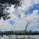 리버싸이드 이미지