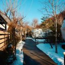 파인빌펜션 | 가평글램핑 <파인포레스트 글램핑>겨울에 더 좋았던 힐링 후기