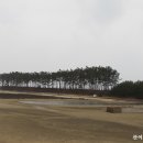 토끼섬(묘도)