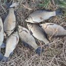 청미천 1 이미지