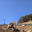 팔랑농산