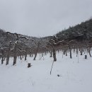 혜영농장 이미지