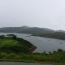 홍콩차우 이미지