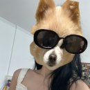 차근 차근 옷 만들기 이미지