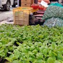 송정매일시장 이미지