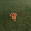 아람다방 이미지