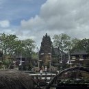 (주)홀로섬닷컴 | [나홀로 발리🇮🇩] 우붓 (6박 7일)