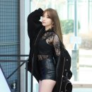 섹시코코 이미지