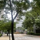 비산어린이집 - 구미시 | 부동산 초보의 내집마련을 위한 안양 비산삼성래미안 임장 후기