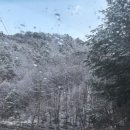 용인대 올림픽 태권도장 이미지