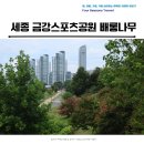 금강2단계스포츠공원 | 세종 금강스포츠공원 배롱나무 개화상태 그리고 독락정