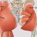 에이치 바디 핏 이미지