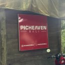 스윙 | 가성비 발리 우붓 스윙 피치븐 발리 스윙 후기 드레스 대여