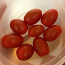 힐링미드림의원 | 7월 1주 차 정이의 주간 일기❤️