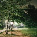 어린이대공원 이미지