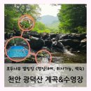 광덕산관광농원호두나무캠핑장 이미지