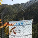 명호초등학교 이미지