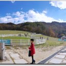 하늘 목장 이미지