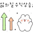 와츠(Wachz)