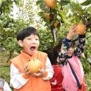 대훈농장 이미지