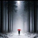 아름다운여행 이미지