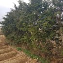 영광목장 이미지