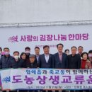 신안동장 이미지