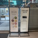나이스푸드마켓도량점 | 로운샤브샤브 스타필드 마켓 동탄점 내돈내산!