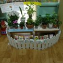 수정삼성어린이집 이미지