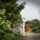 뽑기 대통령 이미지