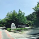천냥D.C | 닷돈재캠핑장(월악산) C사이트 명당자리C14번 계곡바로앞 1박후기