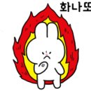 신원동물메디컬센터 이미지