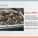 복성수산 이미지