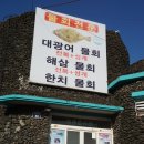 카카오 이미지