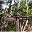 대진초교 앞 이미지