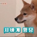 센텀필안경 이미지