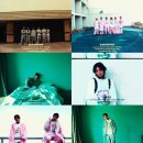 메이저독 이미지