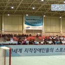동일비즈시스템주 이미지