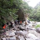 야호캠프 이미지