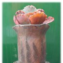 로데오빌 이미지