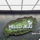 섬 게스트하우스 | 제주 종달리 여행 /<각자의 섬> 후기 / 구좌 게하/ 조용한 게스트 하우스/종달수다뜰 / 제주 향토 음식...