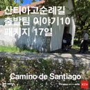 물음표광장 앞 | 산티아고 순례길 패키지 12일차 실제 후기｜ 오 페드로우소 - 산티아고 데 콤포스텔라 코스