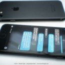 펫스페이스 이미지